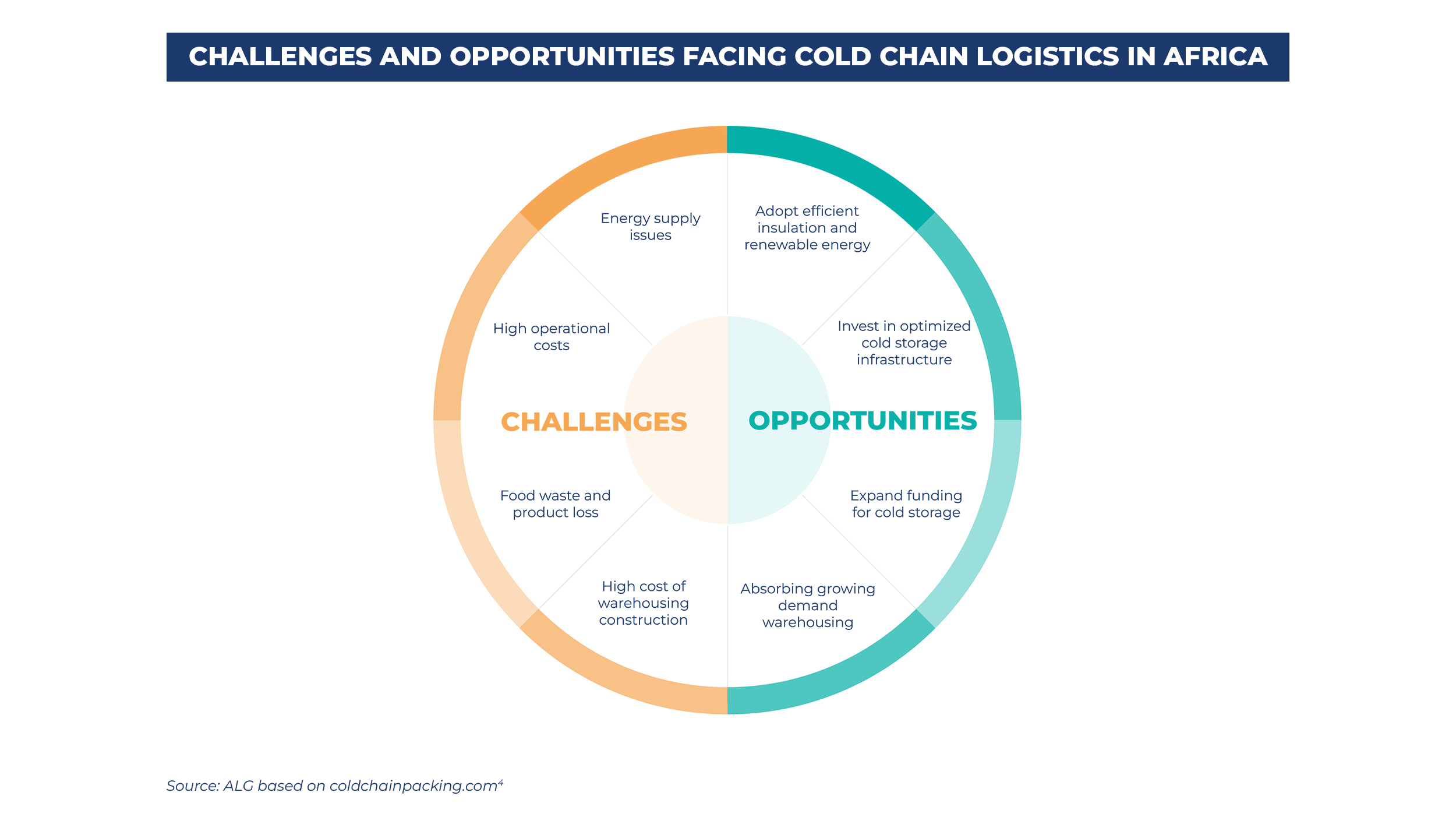 Challenges and opportunities facing cold chain logistics in Africa