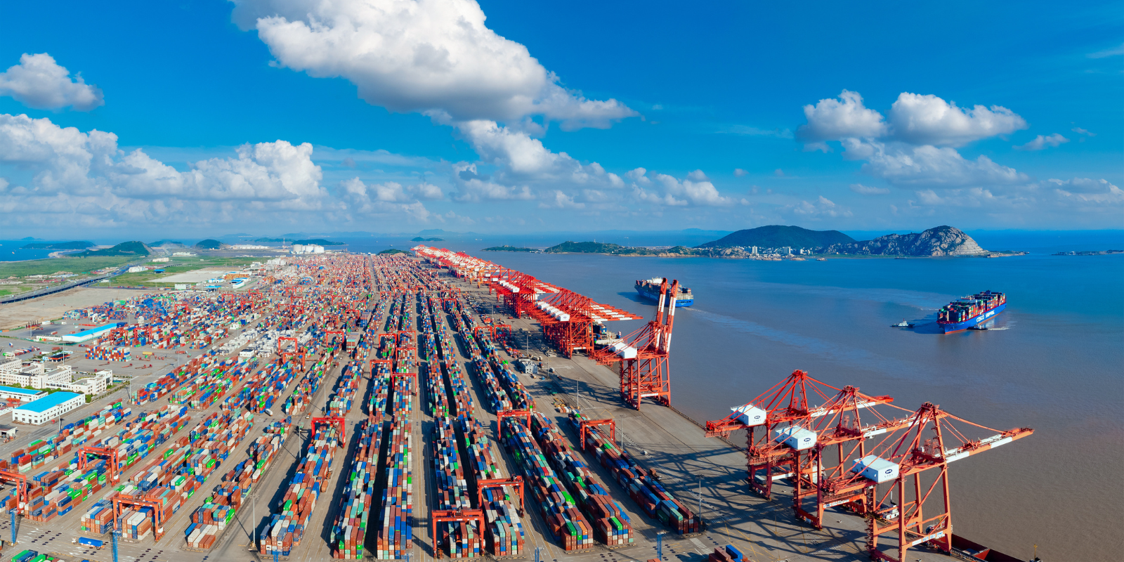 Impact and Consequences of Port Congestions