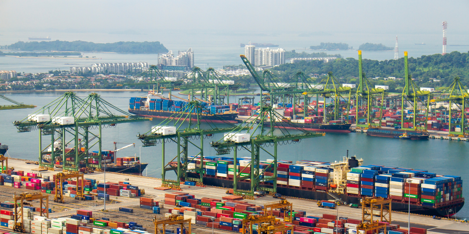 Singapure port and congestions